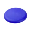 AP809503-06 frisbee