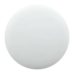 AP809526-01__A frisbee