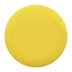 frisbee