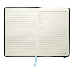 AP810439-06V__B notes