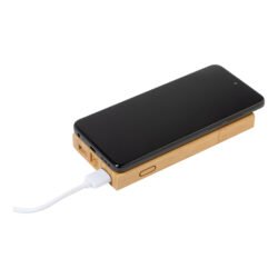 AP810454__FC power bank