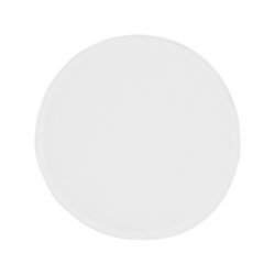 AP844015-01 frisbee