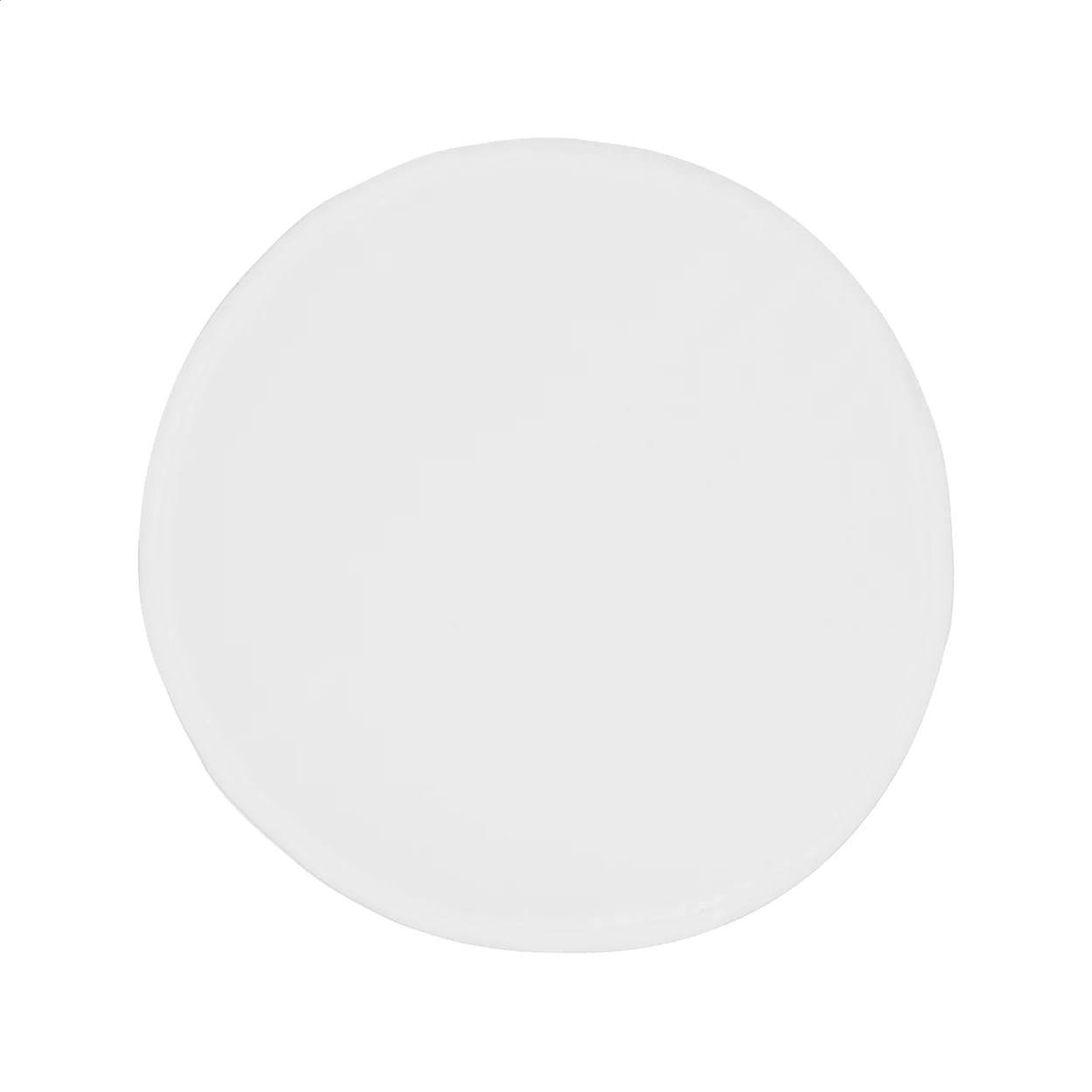 AP844015-01 frisbee