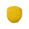 AP844015-02__A frisbee