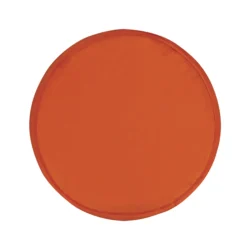 frisbee