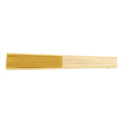 AP844068-02__C wachlarz