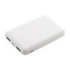 AP864115-01 Powerbank RABS