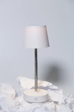 AP864119-01__DG4 Lampa stołowa RABS