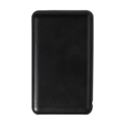 AP864139-10__A Powerbank RABS