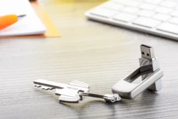 AP897068-21_8GB__DG1 pendrive