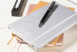 AP800276-98__DG notes RPU