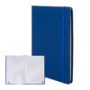 AP800741-06 notes RPU