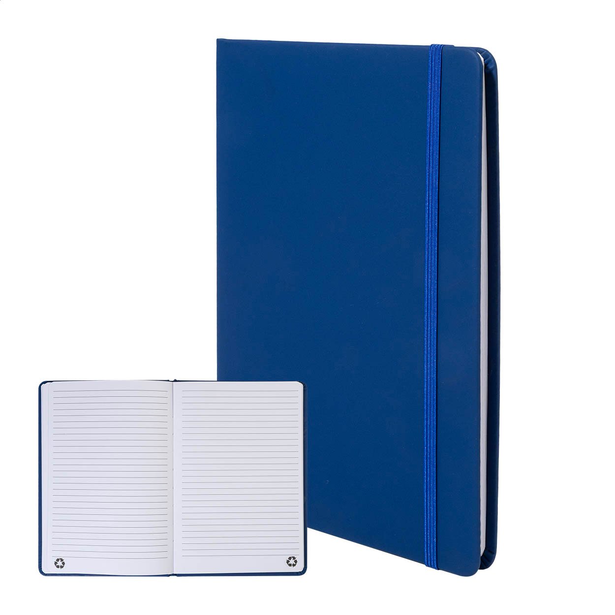 AP800741-06 notes RPU