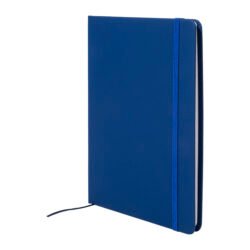 AP800741-06__A notes RPU