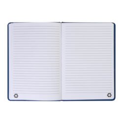 AP800741-06__B notes RPU