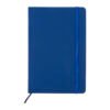 AP800741-06__C notes RPU