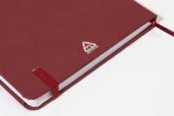 AP800741-08__CU notes RPU