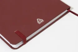 AP800741-08__CU notes RPU