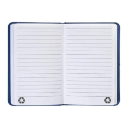 AP800742-06__B notes RPU