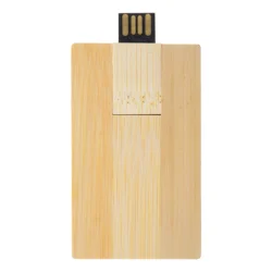 AP897087_8GB pendrive