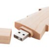AP897088_16GB__A pendrive